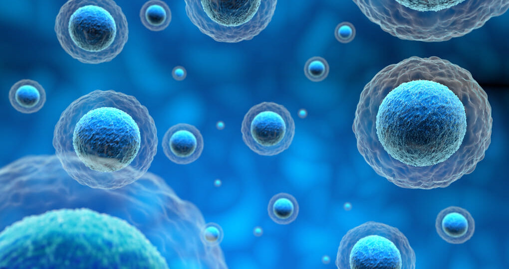 Síntomas de implantación del óvulo: consejos para personas de  Honduras