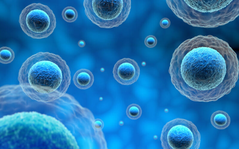 Síntomas de implantación del óvulo: consejos para personas de  Honduras